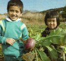 食欲の秋を楽しもう！秋野菜の収穫体験